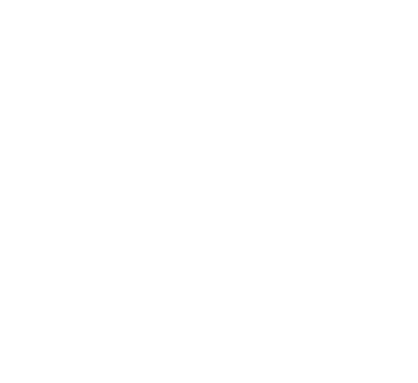 Rutok logo