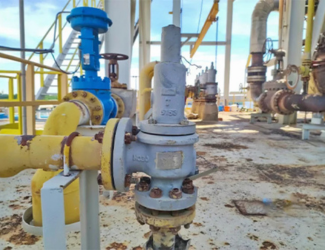 psv ( Pressure Safety Valves)