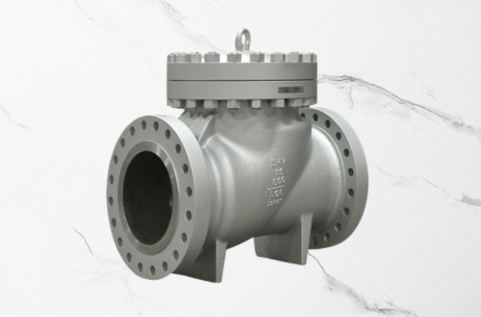 check Valves