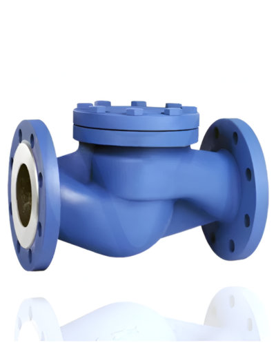 check Valves