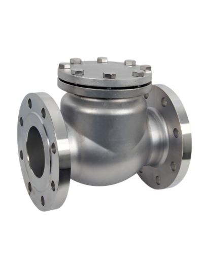 check Valves